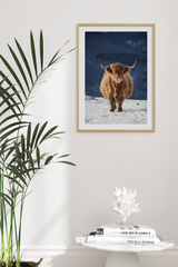 Snowfield Highland Cow Poster