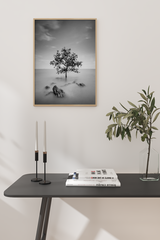 Misty Fairland Poster