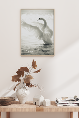 White Swan Poster