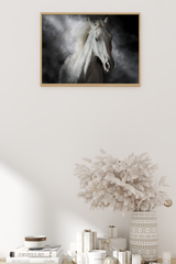 Monochrome White Horse Poster