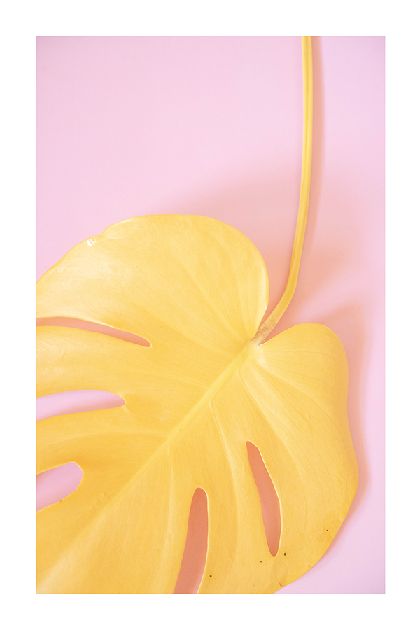 yellow monstera for wall decor