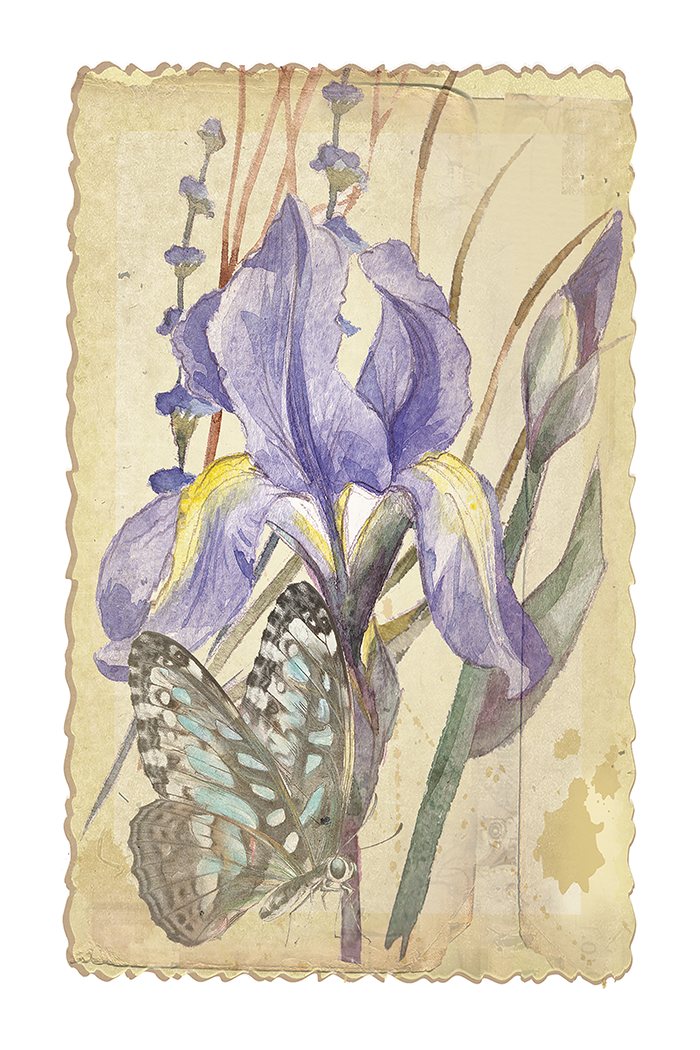Retro Purple Flower Poster