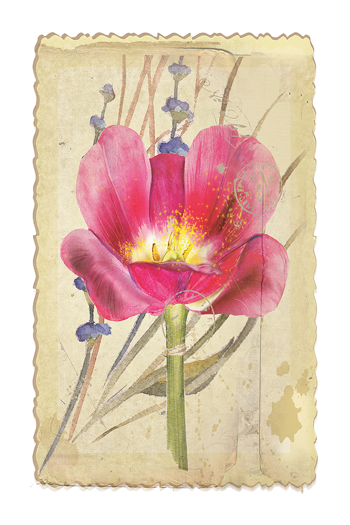 Retro Blooming Flower Poster