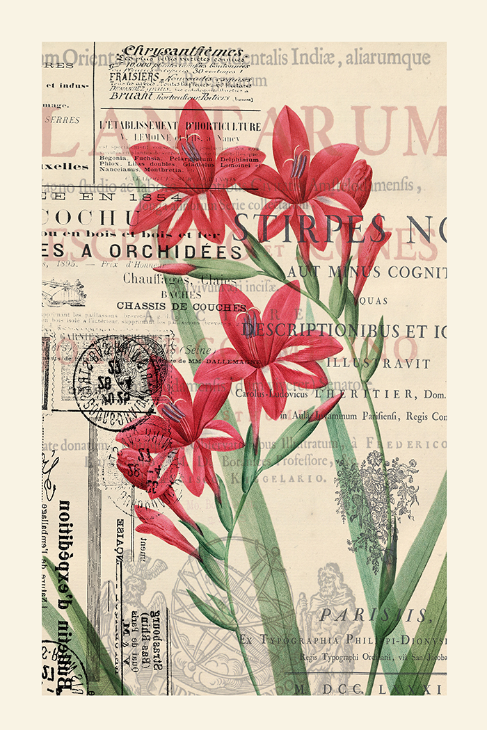 Flower in Newspaper Poster