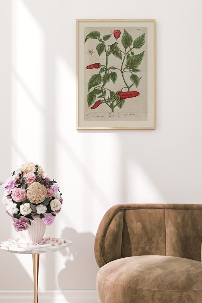 Vintage Guinea Pepper Poster