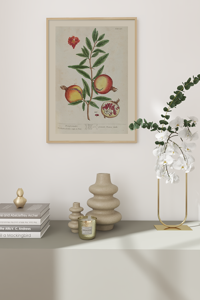 Vintage Pomgranates Poster