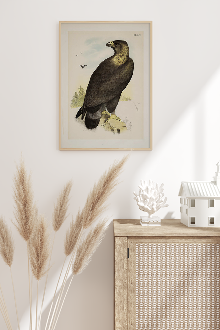 Vintage Eagle Poster