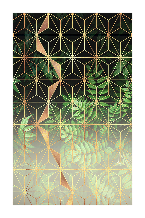 Plant in Cube Poster