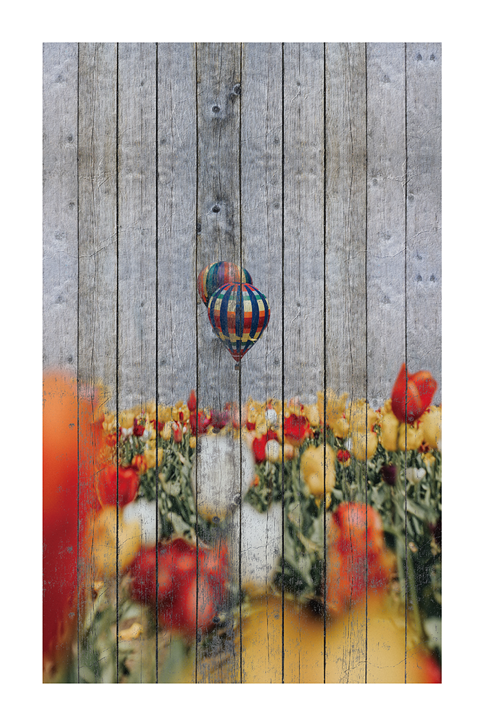 Flower Bush in Wooden Poster