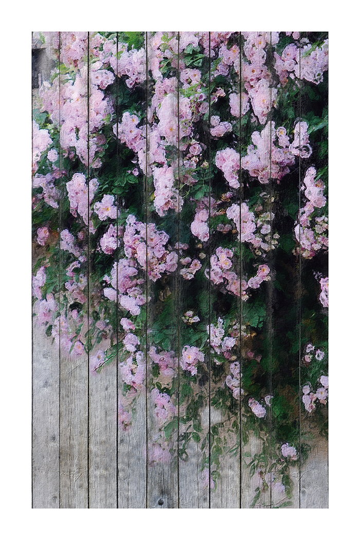 Romantic Purple Flower Poster