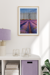 Lavender in Wooden Poster