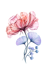 Watercolor Flower Art Print