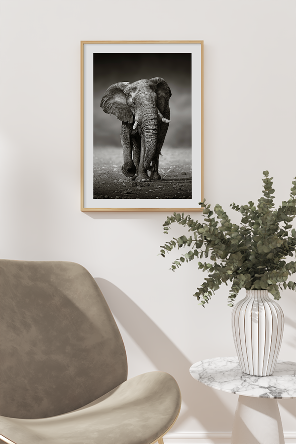 Vintage Elephant Poster