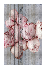 Pink Budding Flower Poster