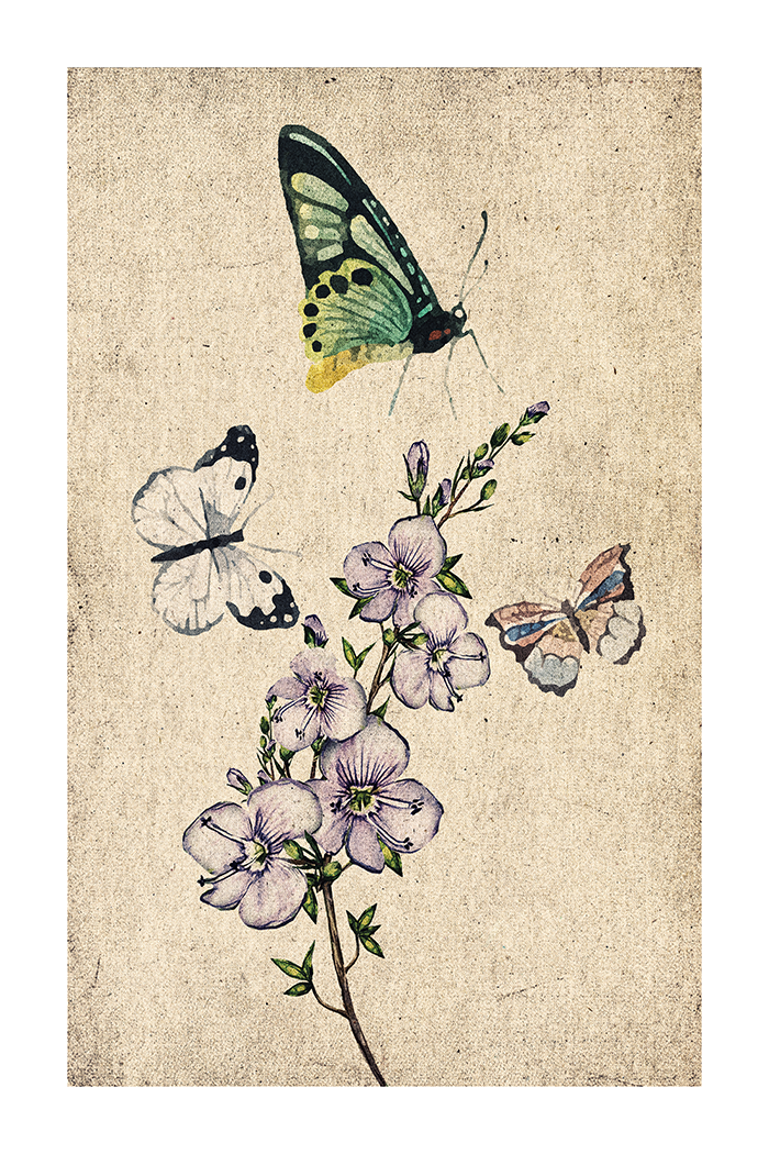 Retro Butterfly Poster No.2