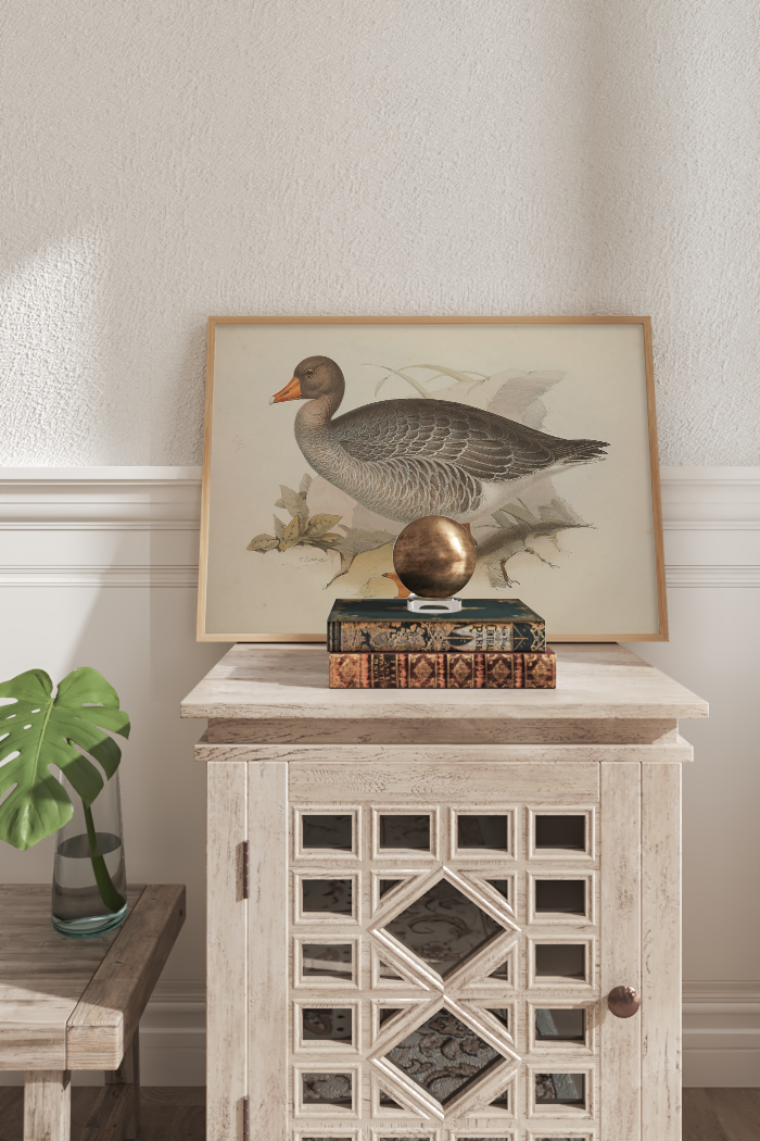 Vintage Duck Poster