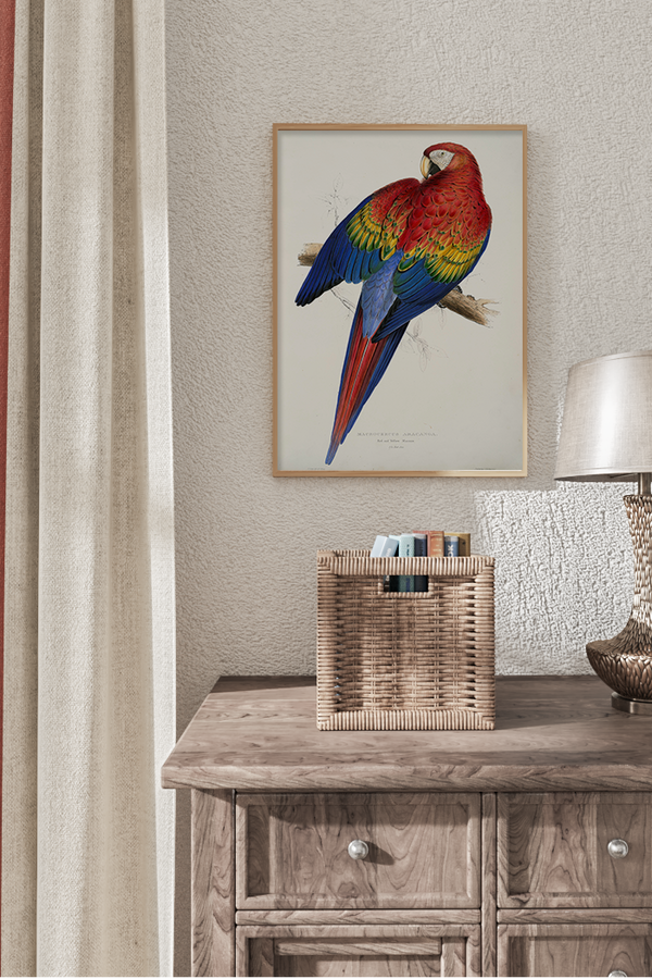 Red and Yellow Parrot Poster