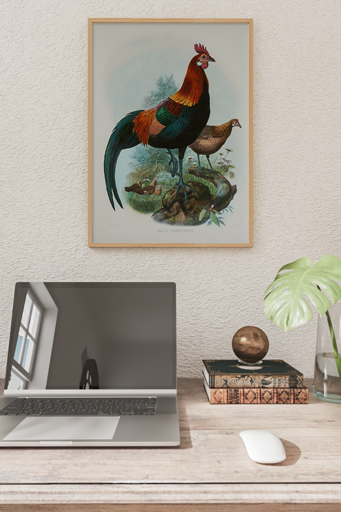 Retro Rooster Poster