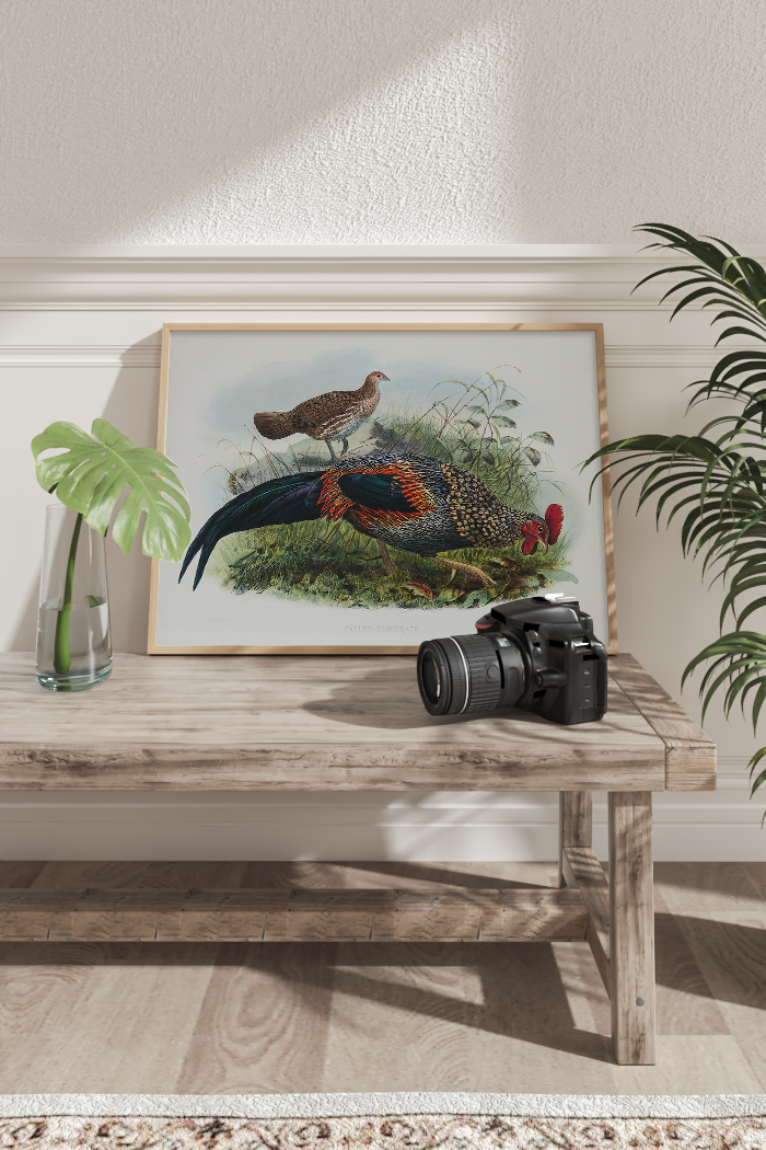 Junglefowl Poster