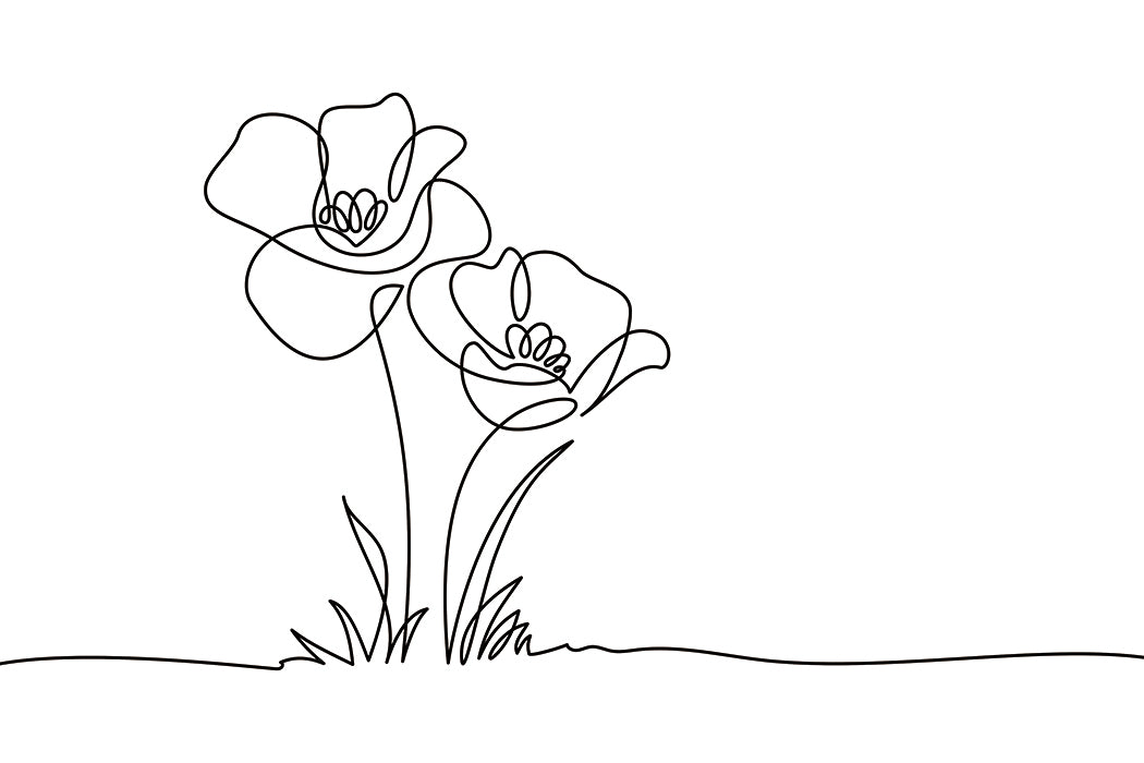 Wildflowers Line Art Print