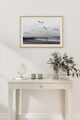 Vintage Flying Seagull Poster