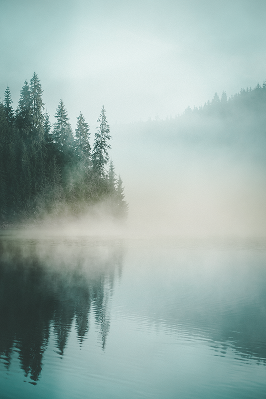 Misty Lakeside Poster