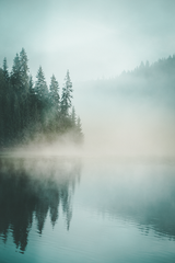 Misty Lakeside Poster