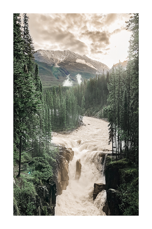 Summer Forest River Poster