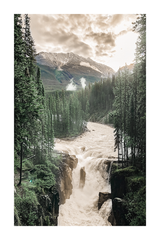 Summer Forest River Poster