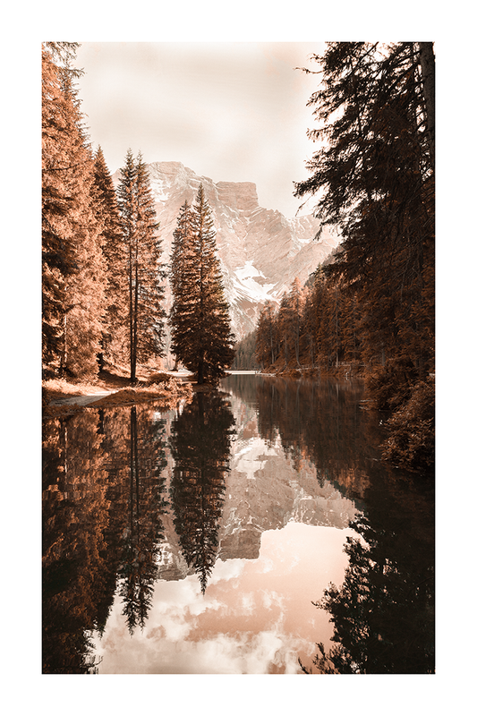 Autumn Pine Forest Poster No.2