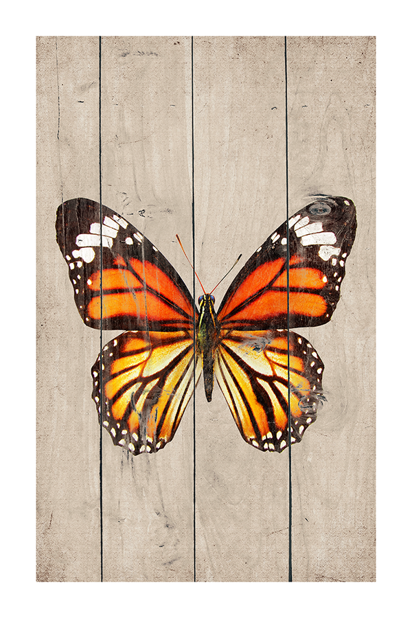 Vintage Butterfly Poster