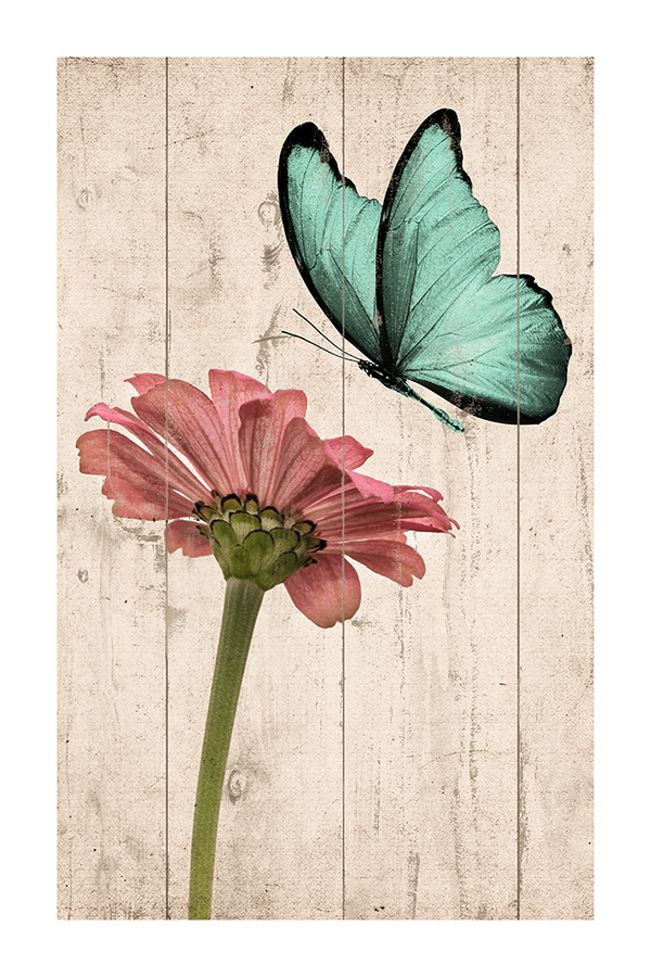 Retro Foraging Butterfly Poster