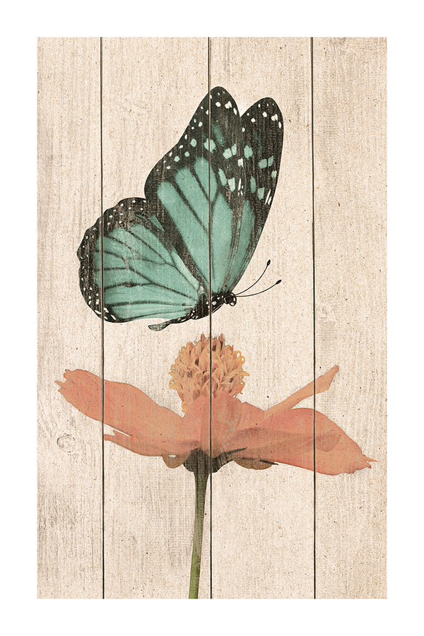 Retro Foraging Butterfly Poster No.2