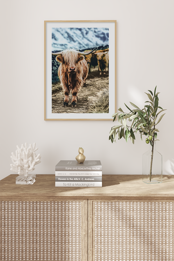 Little Highland Cow Poster