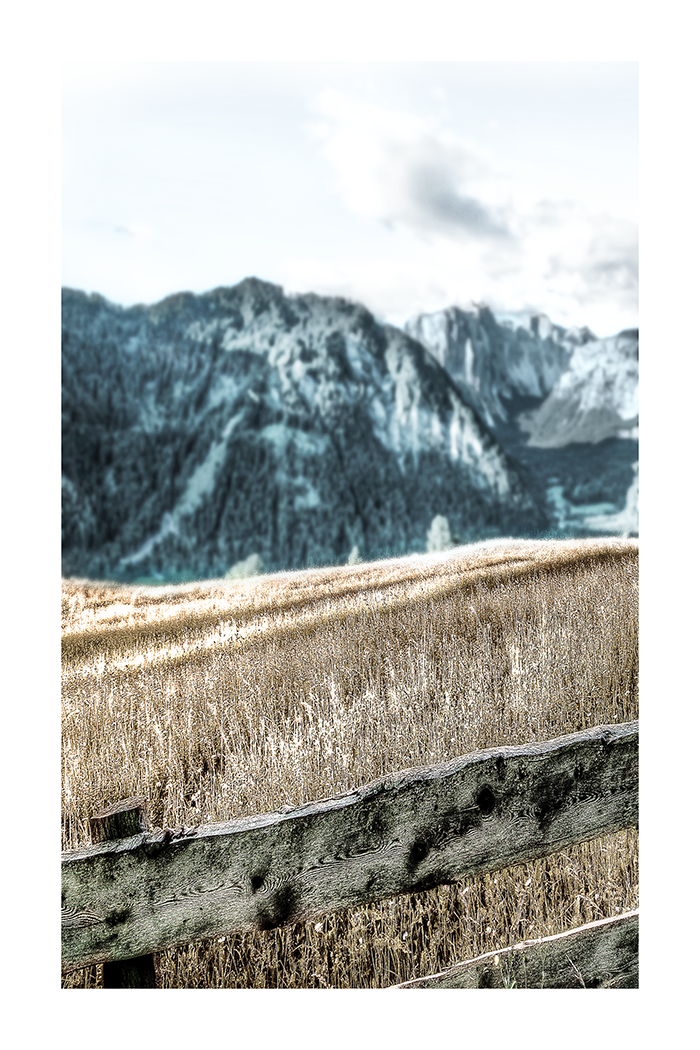 Weeds Field Poster