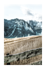 Weeds Field Poster