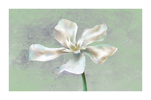 Flower Oil Art Print