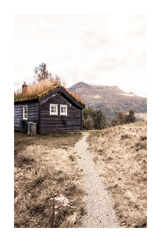 Wild Wooden House Poster