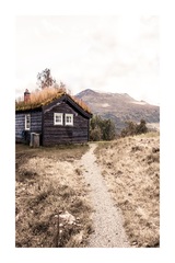 Wild Wooden House Poster