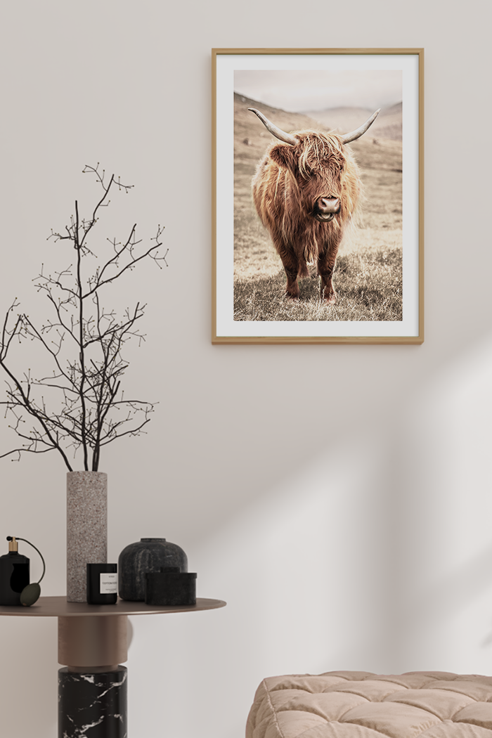 Highland Cow Poster No.4