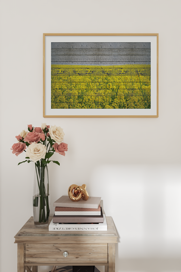 Yellow Hydrangea Field Poster