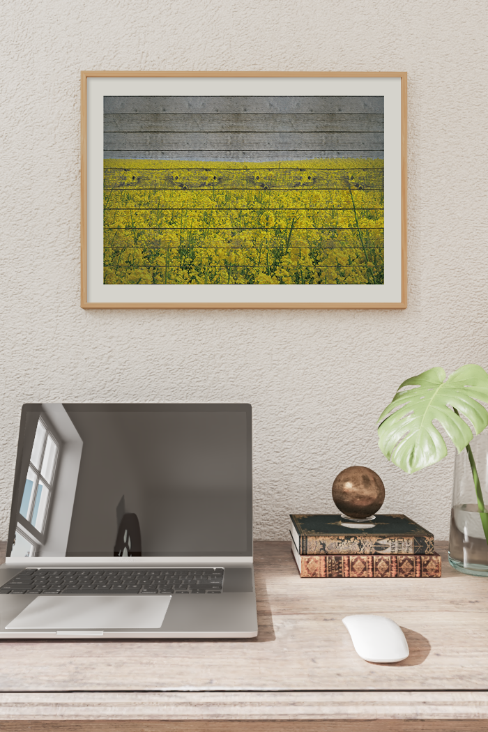 Yellow Hydrangea Field Poster