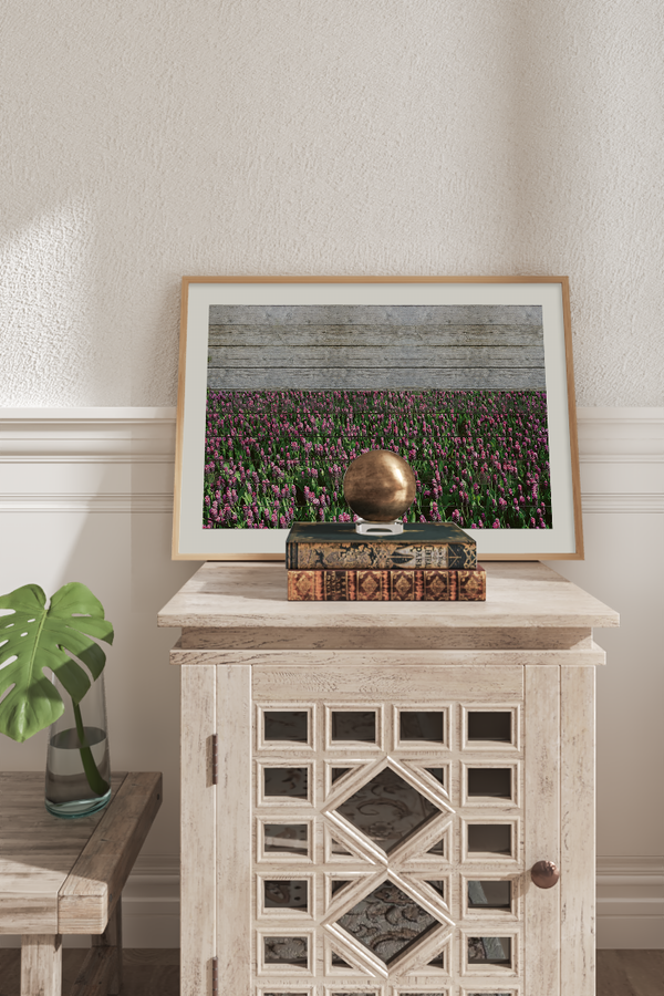 Growing Lavender Field Poster