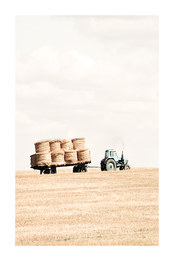 Tractor in Wheat Field Poster