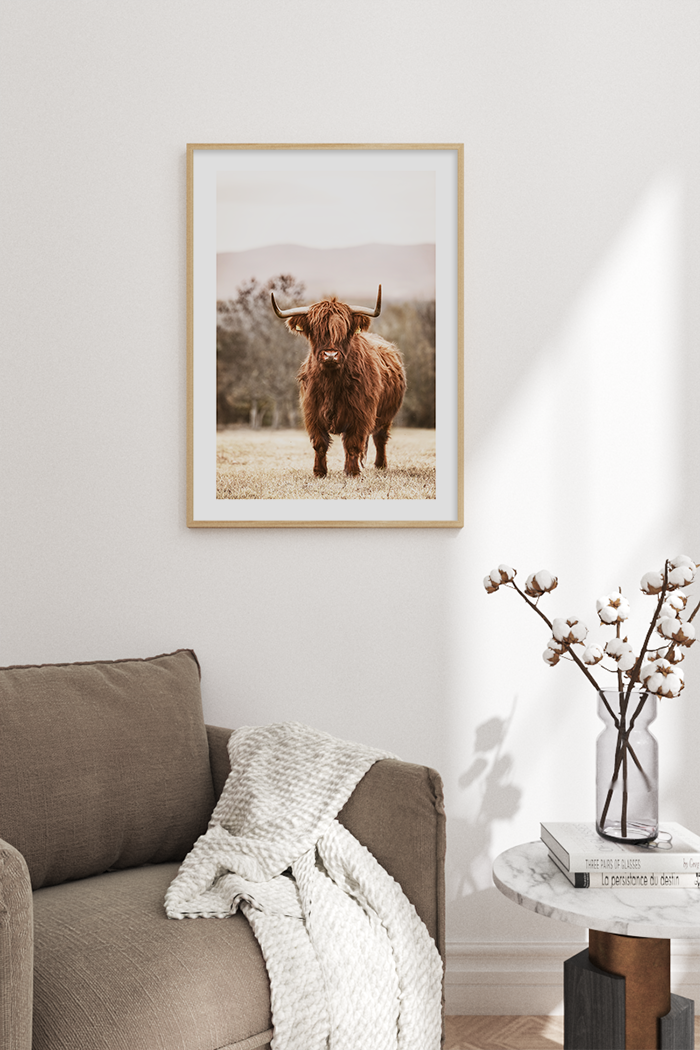 Grassland Highland Cow Poster No.2
