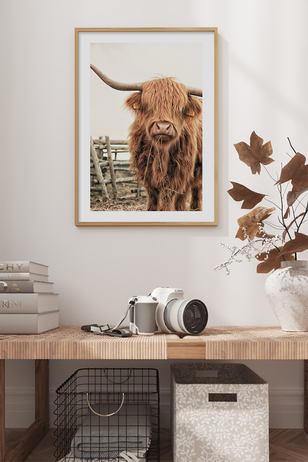 Highland Cow Close Up Poster No.2