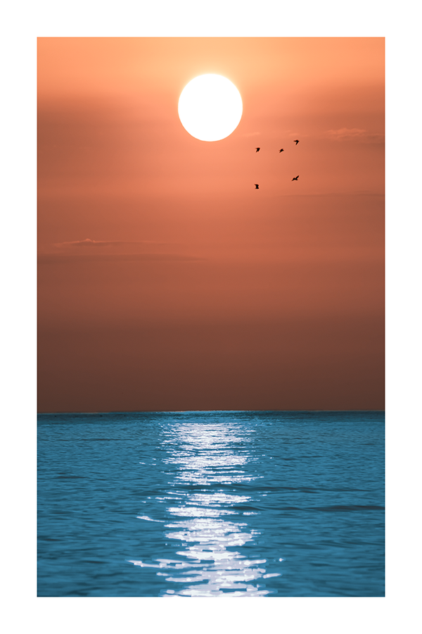 Sunrise Ocean Scenery Poster