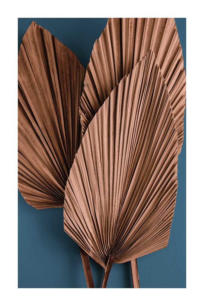 Autumn Palm Leaf Poster