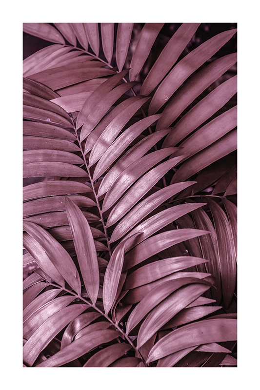 Tropical Leaf Poster