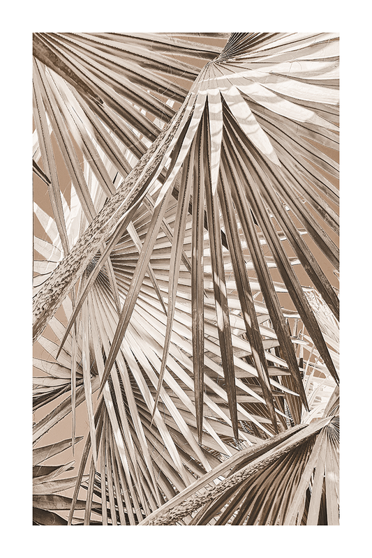 Dry Palm Leaf Poster